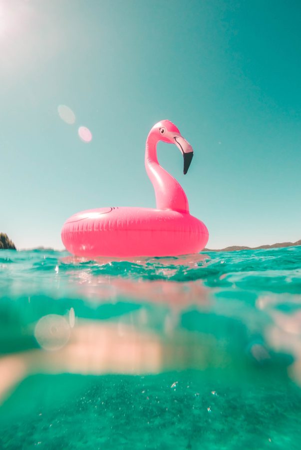 inflatable flamingo floating on the sea
