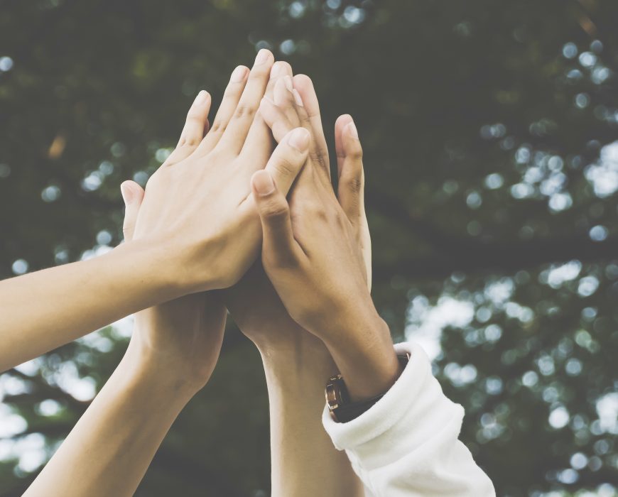 local seo melbourne workers high-fiving